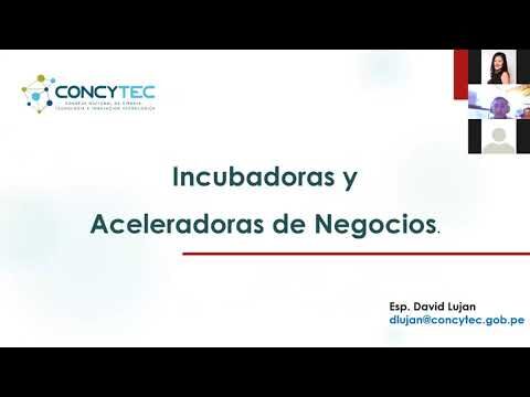 Programas Internacionales de Incubaci&oacute;n para Startups