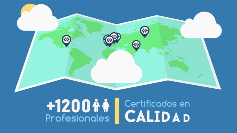 Sinergias Globales en la Internacionalizaci&oacute;n de Negocios mediante Alianzas