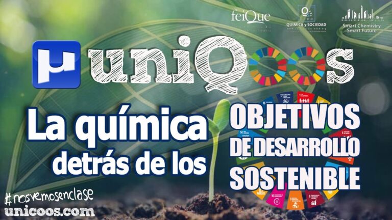 Sostenibilidad en el Desarrollo de Productos