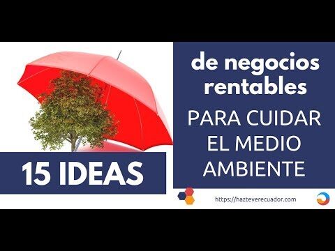 Innovaci&oacute;n en Modelos de Negocio Ecoamigables