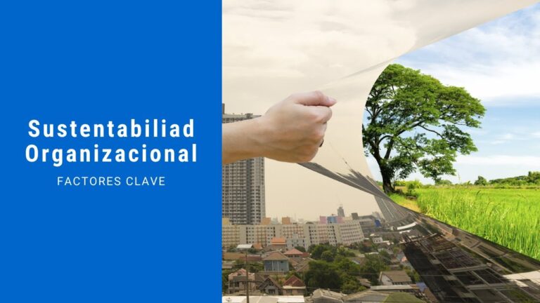 Coaching Empresarial para Impulsar Negocios Sostenibles