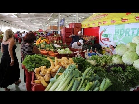 Claves para el &Eacute;xito de Campa&ntilde;as de Relaciones P&uacute;blicas con Comunicados de Prensa