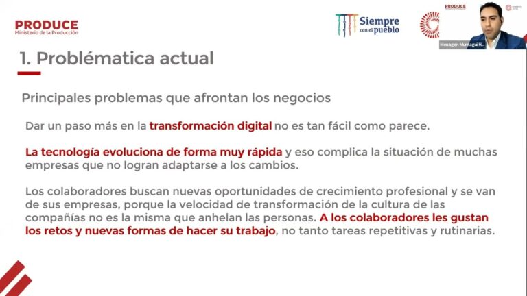 Optimizaci&oacute;n de Negocios a trav&eacute;s de la Tecnolog&iacute;a Rob&oacute;tica