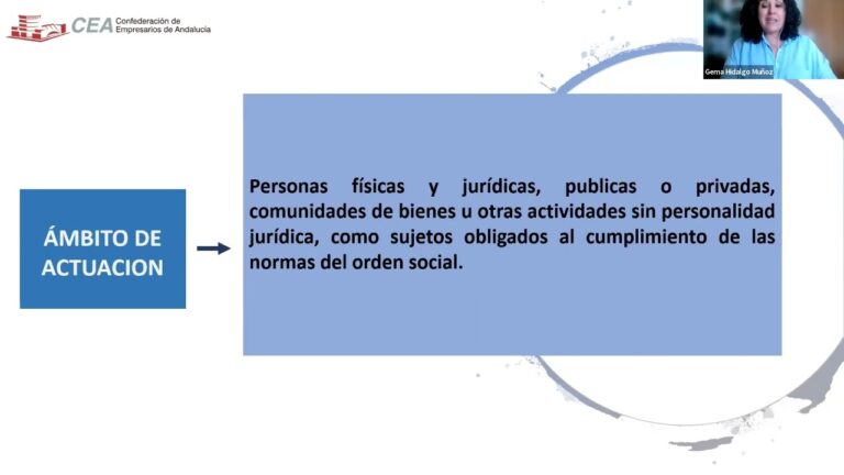 Responsabilidades en Inspecciones Laborales para Empresas