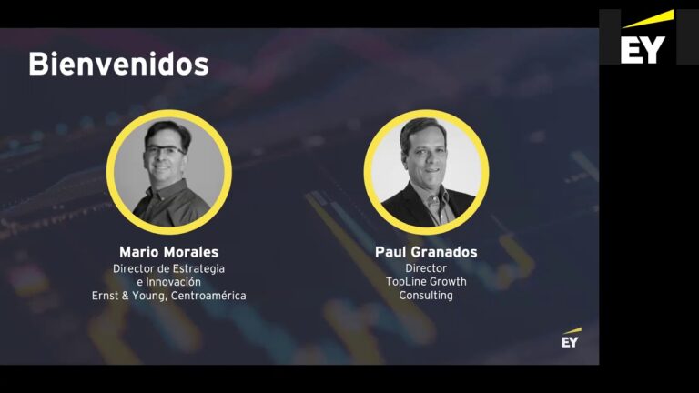 Optimizaci&oacute;n Efectiva de Estrategias de Precios en Ventas