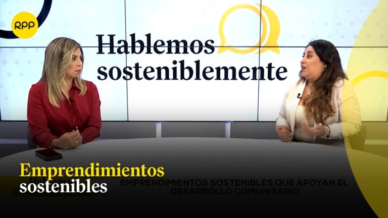 Emprendimientos Sostenibles: Innovaci&oacute;n en Modelos de Negocio