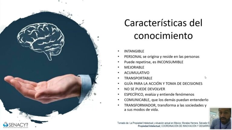 Protección de la Propiedad Intelectual en Empresas