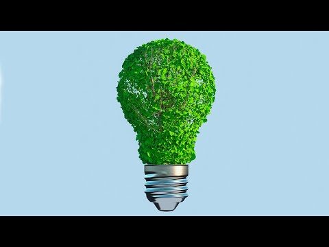 Crecimiento del Emprendimiento Sostenible en la Moda