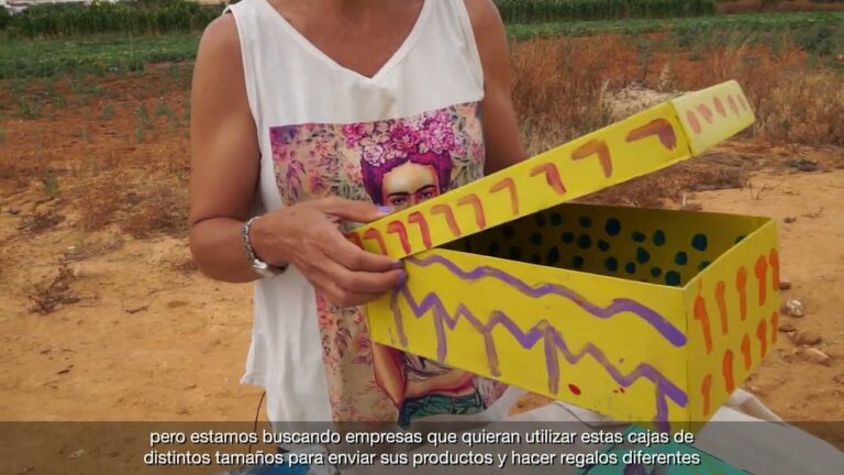 Sostenibilidad en Emprendimientos Sociales Femeninos