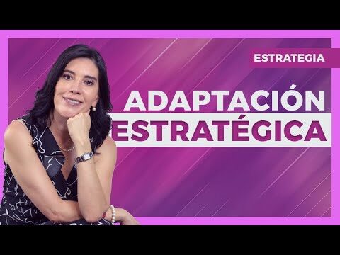 Adaptaci&oacute;n Empresarial al Ciclo de Vida