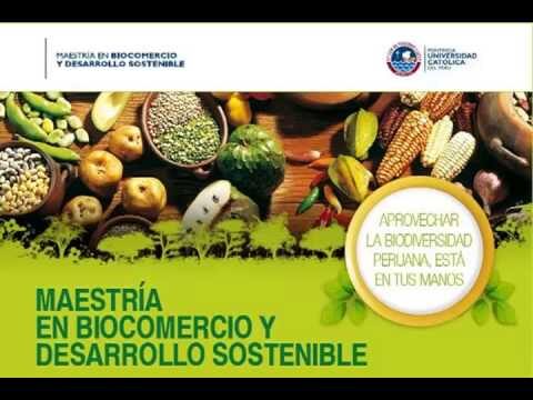 Beneficios Econ&oacute;micos de la Econom&iacute;a Circular en el Biocomercio