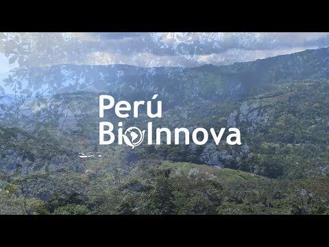 Innovaci&oacute;n en Econom&iacute;a Circular y Biocomercio: Nuevas Fronteras Sostenibles