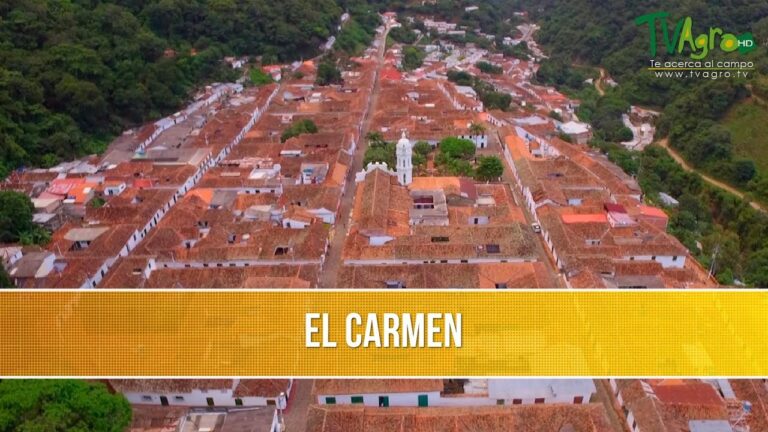 Estrategias Efectivas para Emprender en Agricultura Ecol&oacute;gica