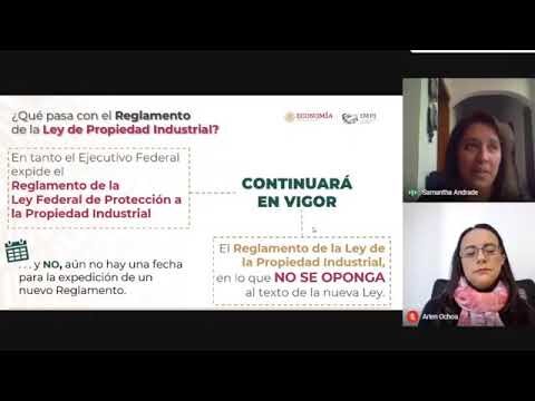 Aspectos Legales de la Propiedad Intelectual en Licencias Comerciales